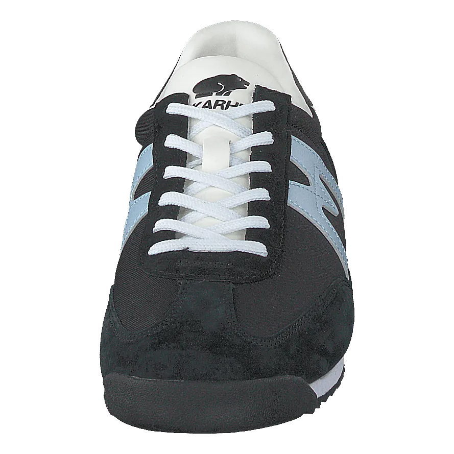 Championair Jet Black/blue Fog