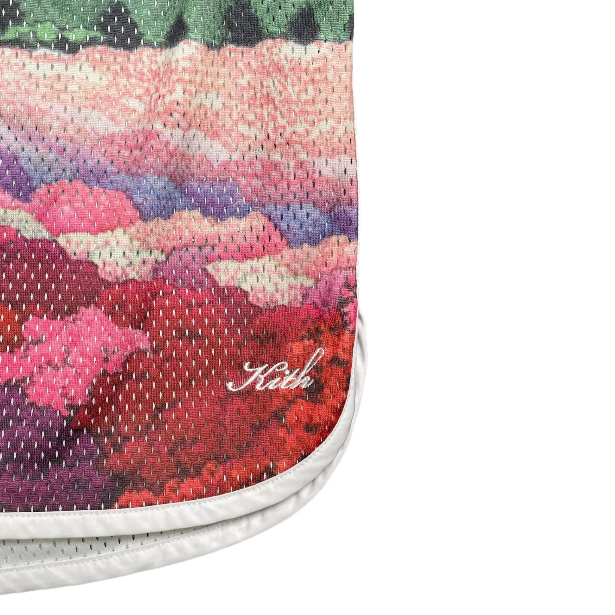 Kith Landscape Basketball Shorts Pastel Multi Pre-Owned