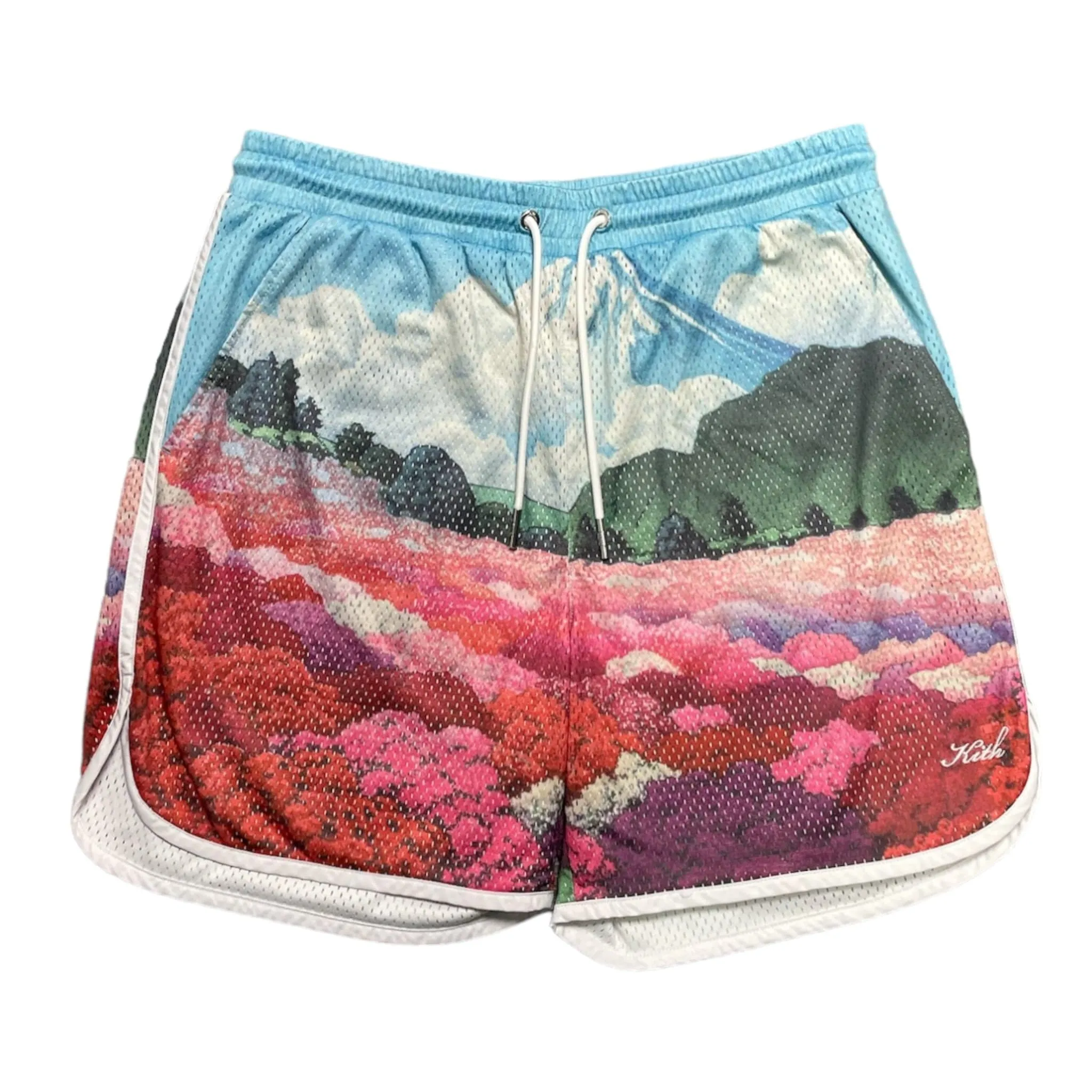 Kith Landscape Basketball Shorts Pastel Multi Pre-Owned