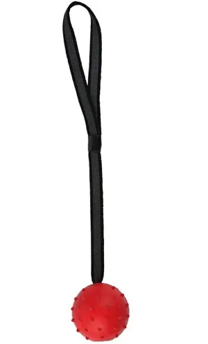 Trixie Pets Dog Fetch Rubber Ball Rope Rubber Spike Ball on a Rope Dog Toy